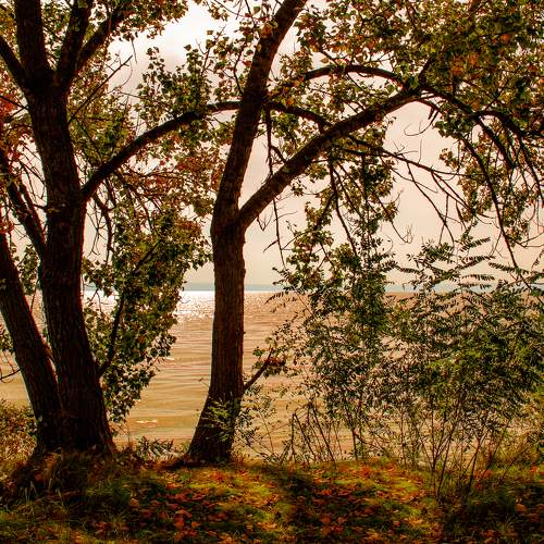 Photo #8144694