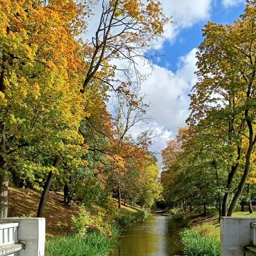 Photo #8145187