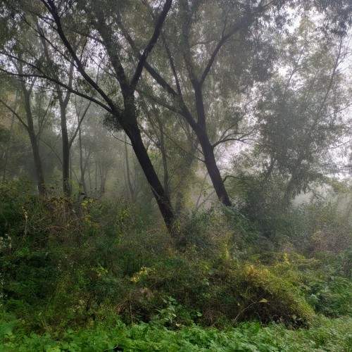 Photo #8145822