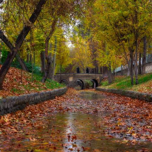 Фотография #8146024