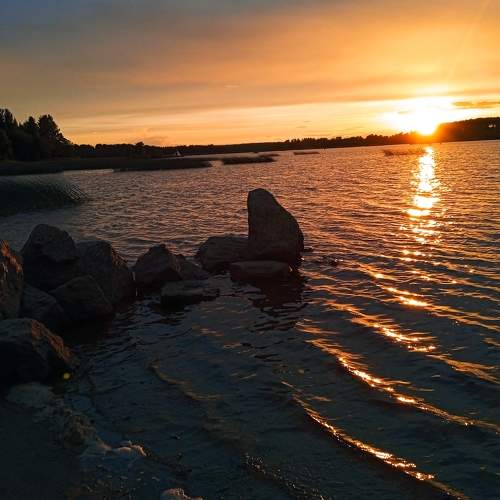 Photo #8146074