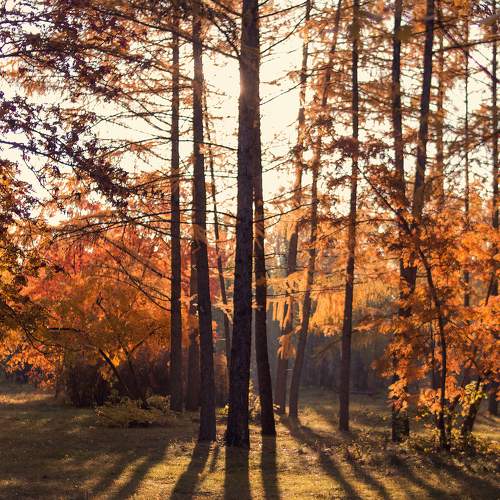 Photo #8146251