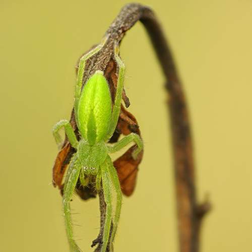 Photo #8146283