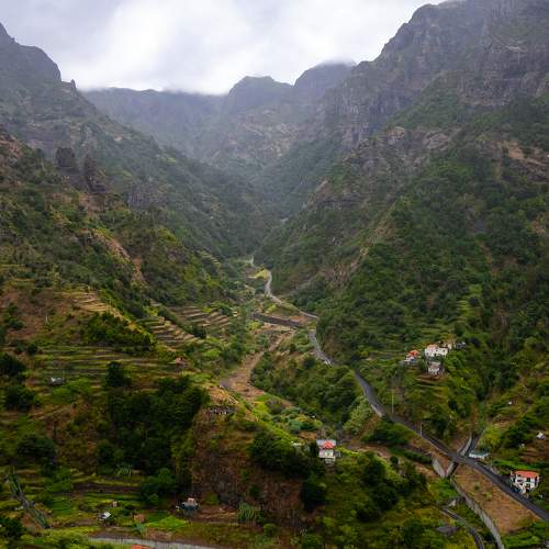 Photo #8147178