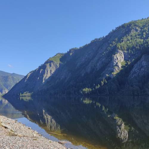 Photo #8147216