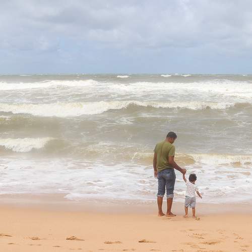 Photo #8147252