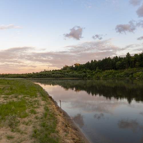 Photo #8147652