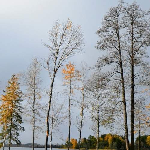 Photo #8147808