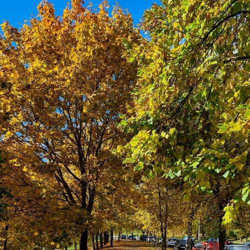 Photo #8148139