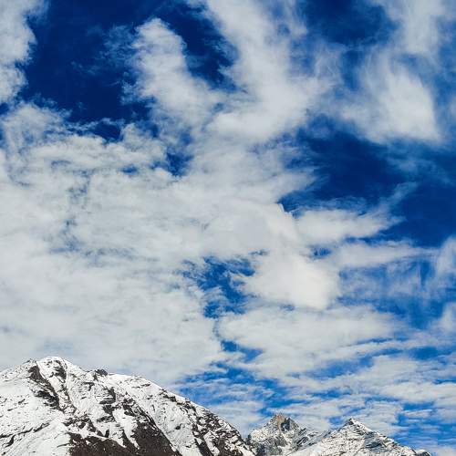 Photo #8149256