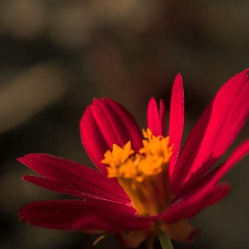 Photo #8149348