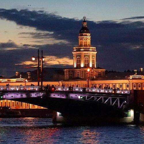 Photo #8149400
