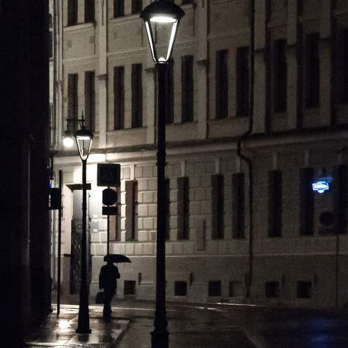 Photo #8149432