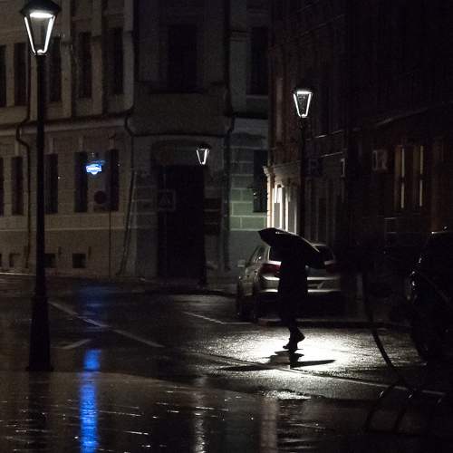 Photo #8149438