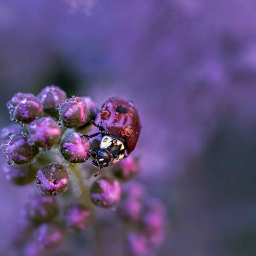 Photo #8149475