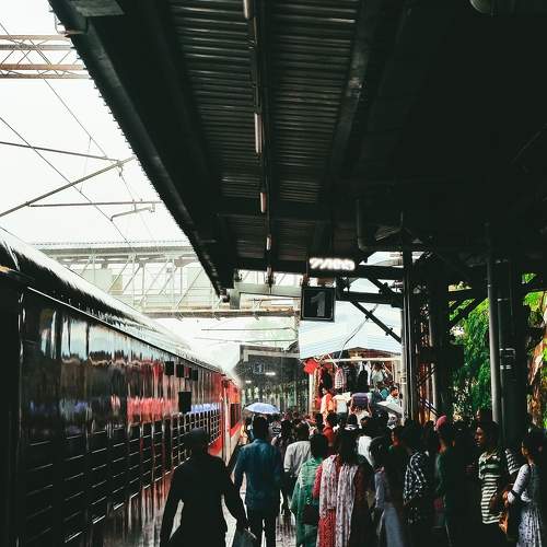 Photo #8149849
