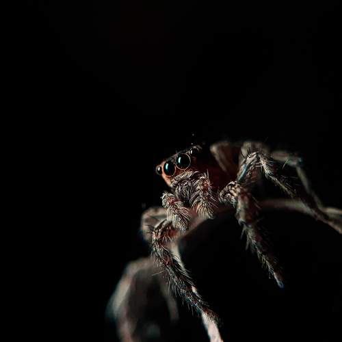 Photo #8150199