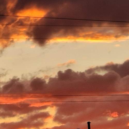 Photo #8150262