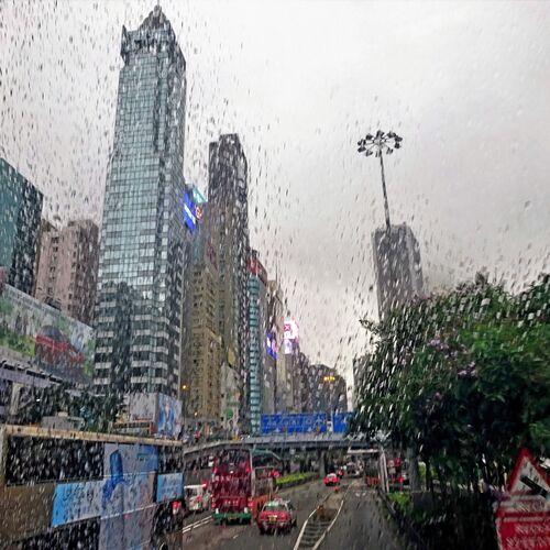 Photo #8150486