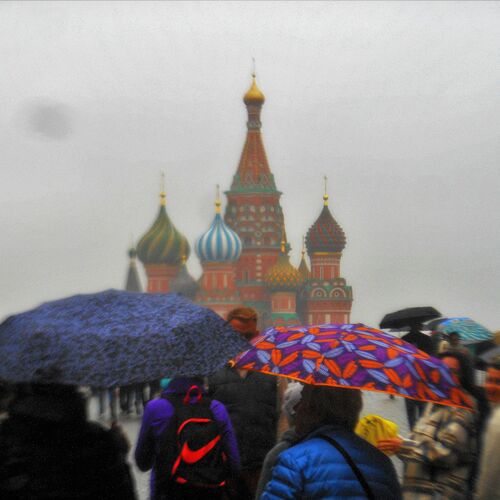 Photo #8150575