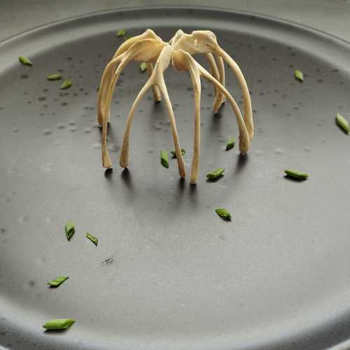 Photo #8150668