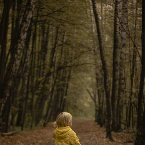 Photo #8150847