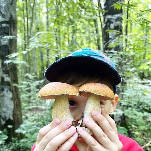Photo #8151025