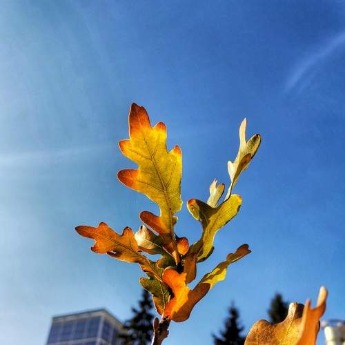 Photo #8151299