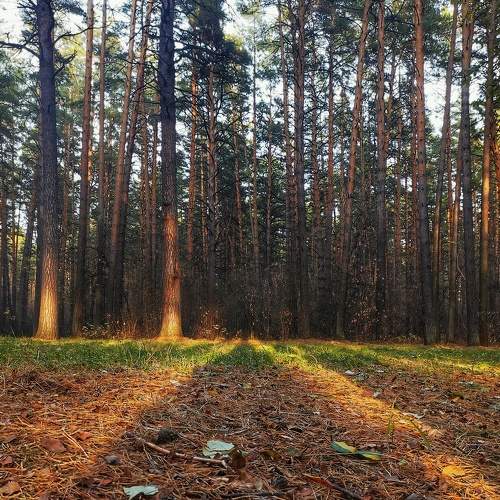 Photo #8151520