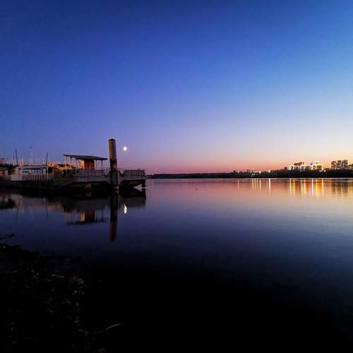 Photo #8151683