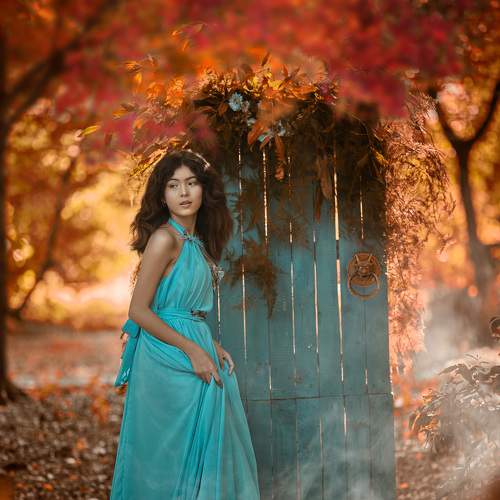 Photo #8151865