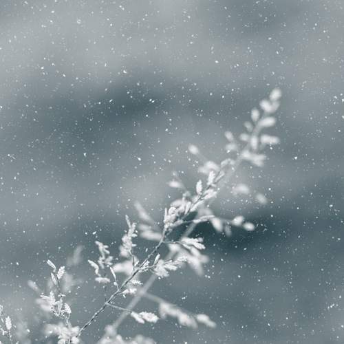 Photo #8152321