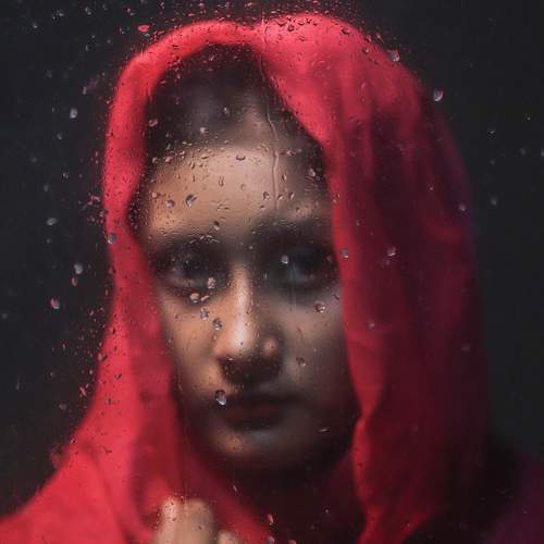 Photo #8152464