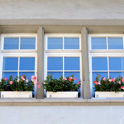 Windows