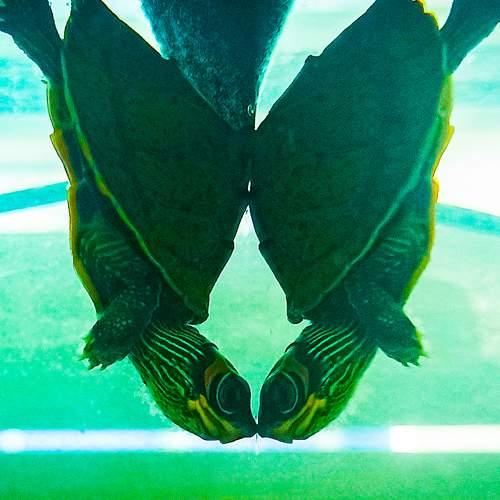 Photo #8152672