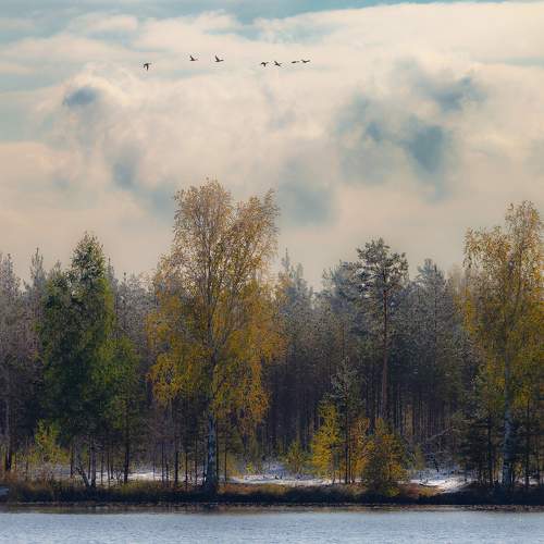 Photo #8152673