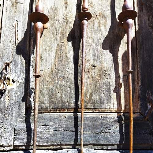 Photo #8152744