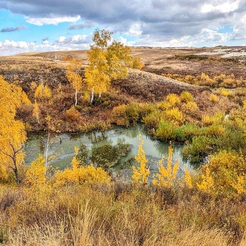 Фотография #8152822