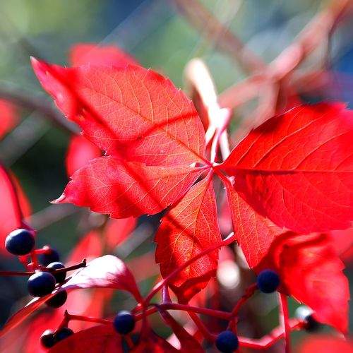 Photo #8152878