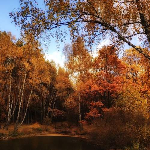Photo #8153366