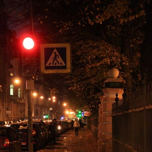 Photo #8153584