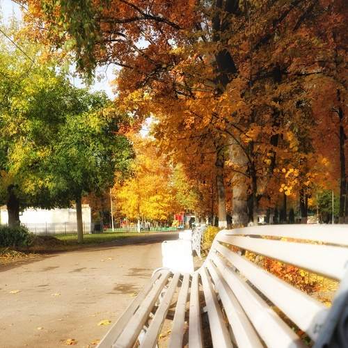 Photo #8153769