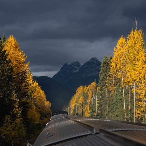 Photo #8153790