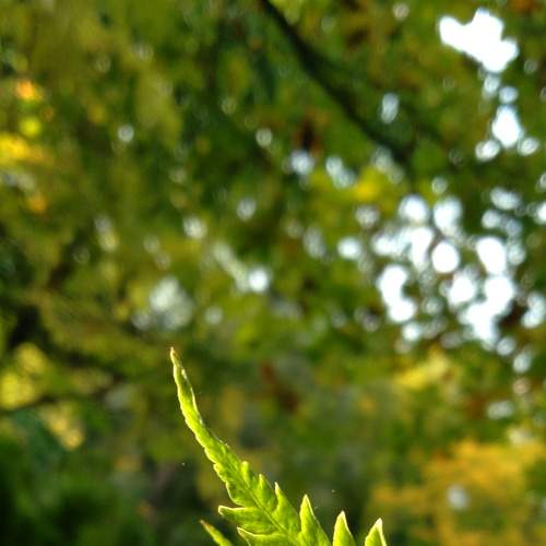 Photo #8153889