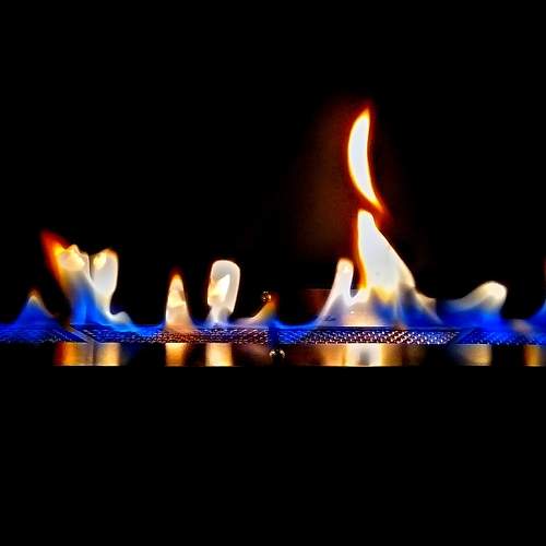 Photo #8154124