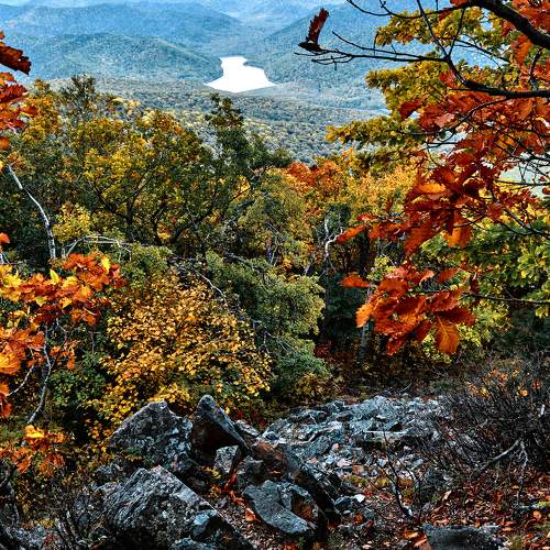 Photo #8154371