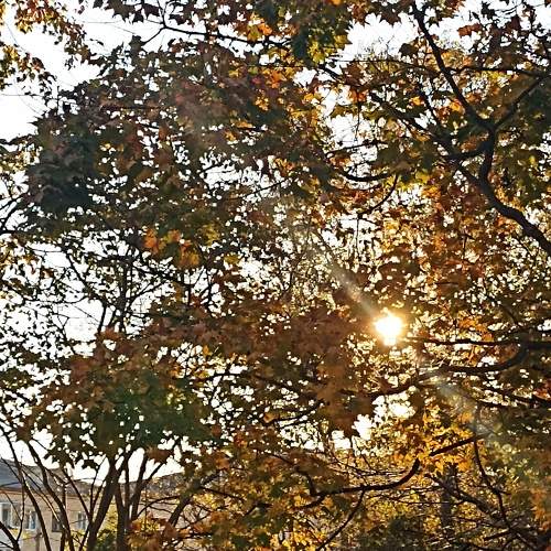 Photo #8154639