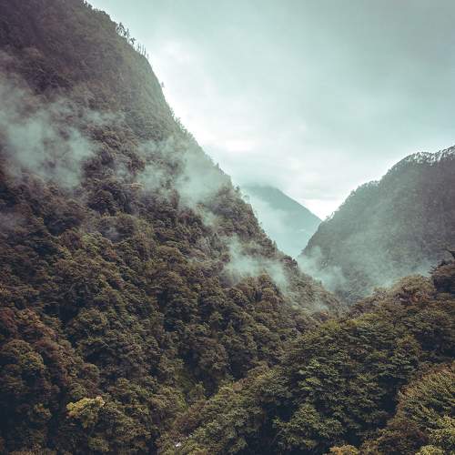 The Greens