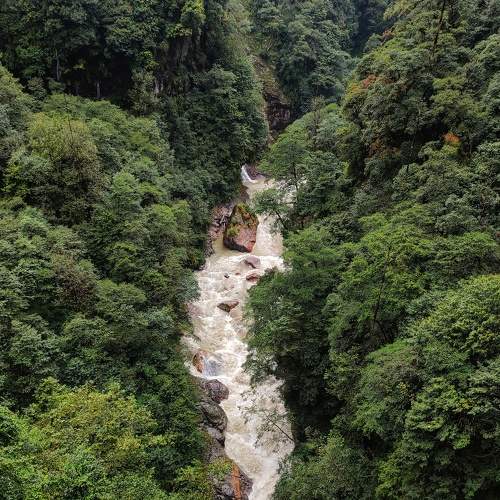 Photo #8154821