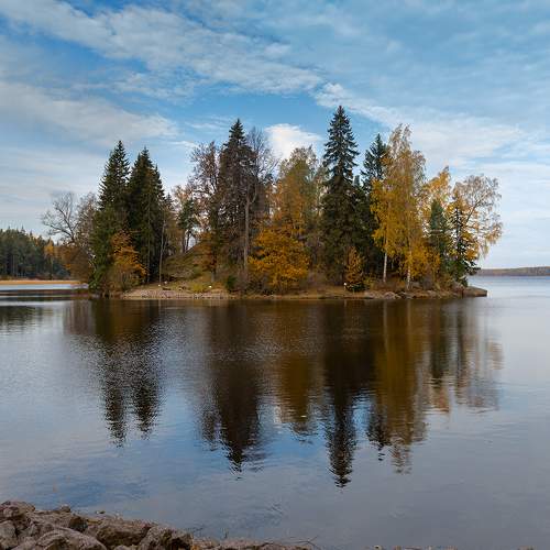 Photo #8155369
